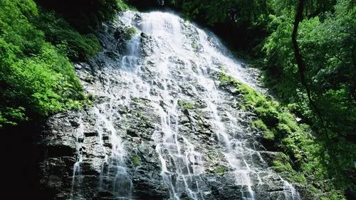 智能化节能节能